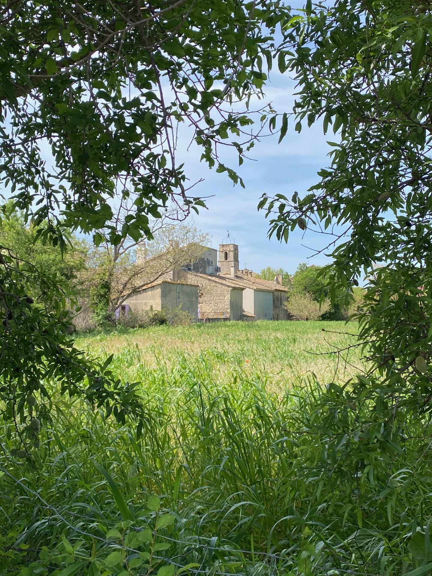 Le village de Maussane-les-Alpilles avec son clocher